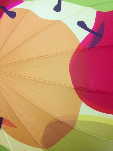 梅雨のいいとこ