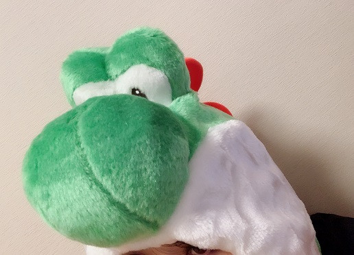 おうちレイヤーワイ、次のネタを見つけるｗ