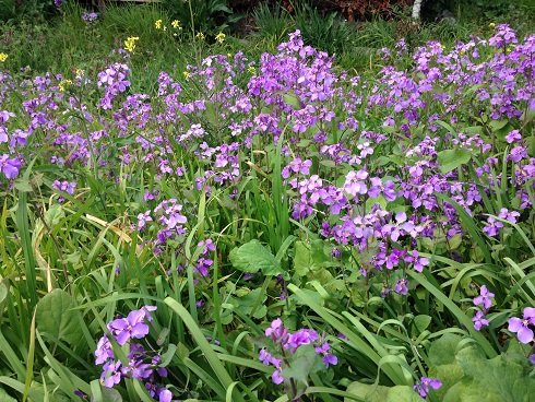 たまらない季節