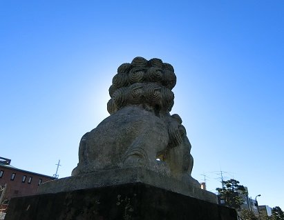 コマさんの後頭部ズラ！