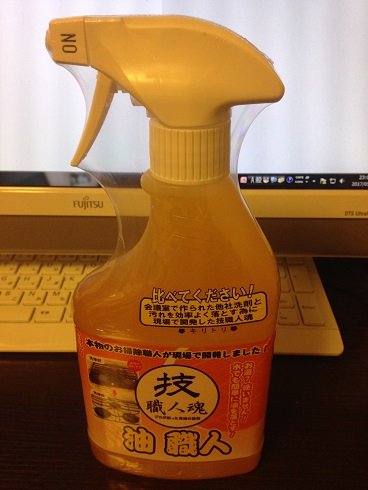 ディズニープリンセス式お掃除