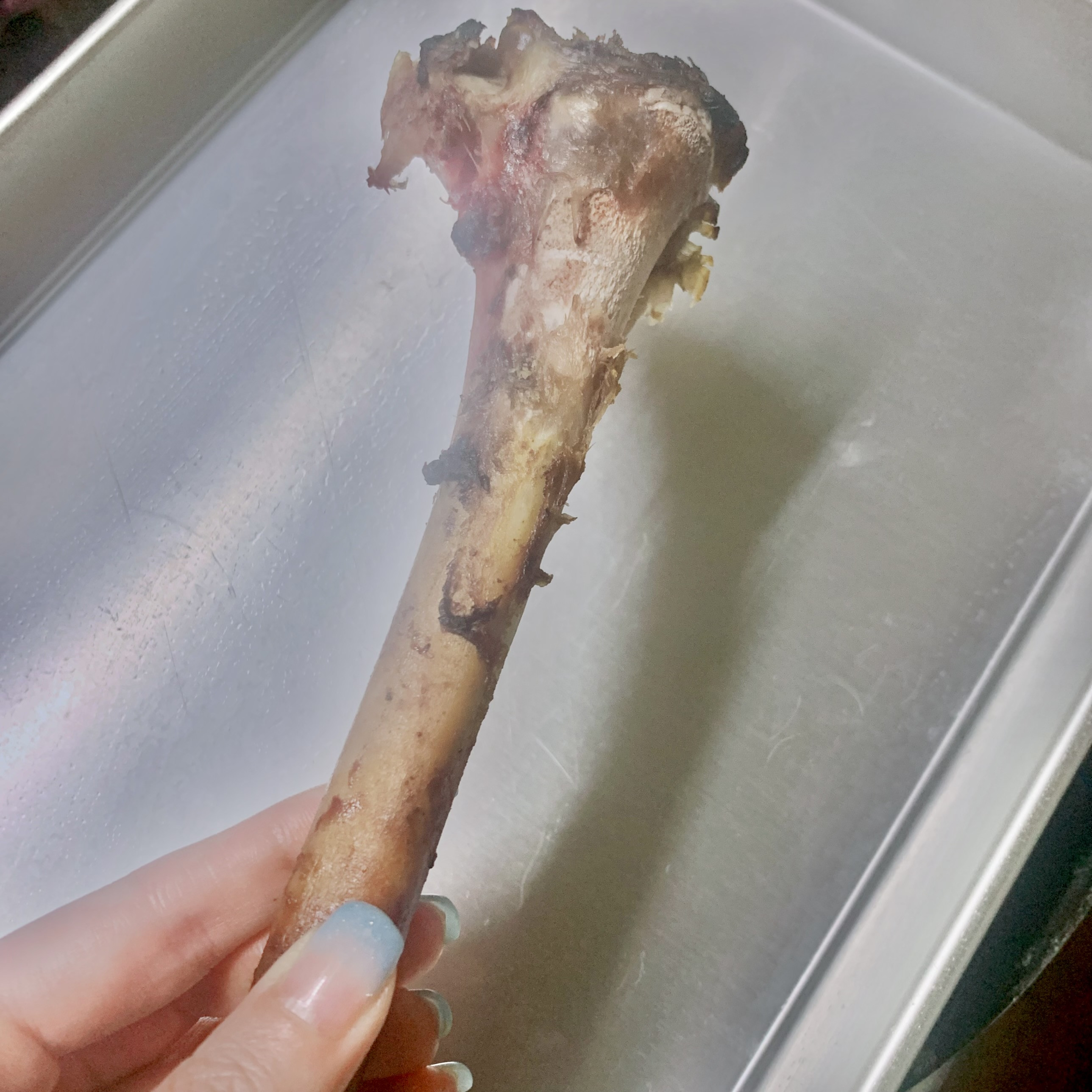 何の骨でしょうか