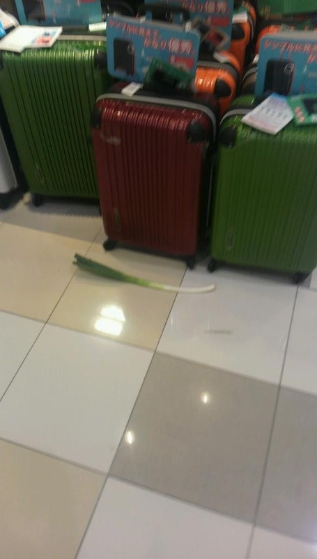 長ネギ速報（会員様より）