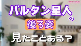 ++ゆぅ++ちゃんの2019/8/14 (水) 18:09のブログ