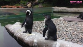 ++ゆぅ++ちゃんの2017/11/18 (土) 23:29のブログ