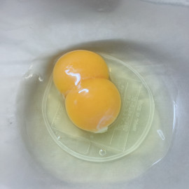 お？…………おお？？？