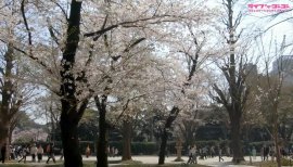 散る散る　満ちる