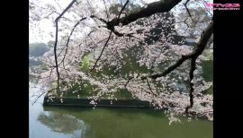 ++ゆぅ++ちゃんの2018/3/30 (金) 21:45のブログ