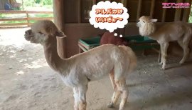 ++ゆぅ++ちゃんの2019/8/18 (日) 22:35のブログ