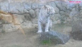 ++ゆぅ++ちゃんの2018/7/14 (土) 00:11のブログ