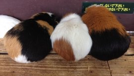 ++ゆぅ++ちゃんの2017/10/4 (水) 21:58のブログ