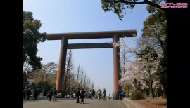 ++ゆぅ++ちゃんの2018/4/1 (日) 22:21のブログ