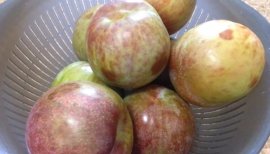 ++ゆぅ++ちゃんの2018/7/15 (日) 01:17のブログ