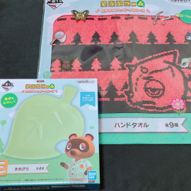 葉っぱのお皿と赤ドカゲ