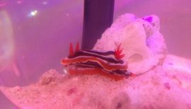 ++ゆぅ++ちゃんの2017/10/12 (木) 03:52のブログ