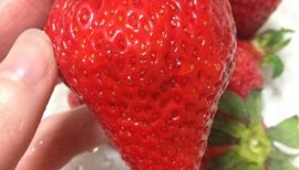 ++ゆぅ++ちゃんの2017/3/22 (水) 22:08のブログ