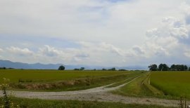 ++ゆぅ++ちゃんの2018/9/29 (土) 22:39のブログ