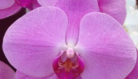 ++ゆぅ++ちゃんの2018/2/25 (日) 22:35のブログ