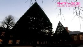 【あばよ二〇一七】キラキラdeご挨拶