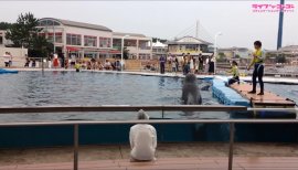 ++ゆぅ++ちゃんの2017/10/14 (土) 22:18のブログ