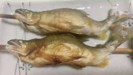 ++ゆぅ++ちゃんの2020/9/1 (火) 21:57のブログ