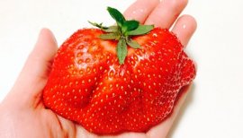 ++ゆぅ++ちゃんの2017/3/17 (金) 22:19のブログ