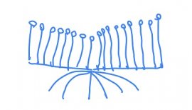 ++ゆぅ++ちゃんの2017/5/23 (火) 21:55のブログ