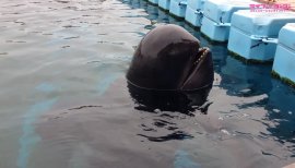 ++ゆぅ++ちゃんの2017/9/24 (日) 23:22のブログ