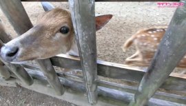 ++ゆぅ++ちゃんの2018/5/26 (土) 22:21のブログ