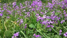 ++ゆぅ++ちゃんの2017/3/19 (日) 21:09のブログ