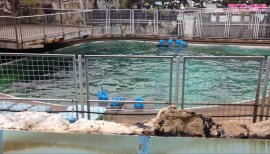 ++ゆぅ++ちゃんの2017/7/14 (金) 22:52のブログ