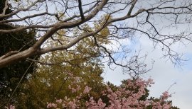 ++ゆぅ++ちゃんの2018/3/8 (木) 12:14のブログ