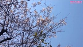 ++ゆぅ++ちゃんの2017/4/27 (木) 00:16のブログ