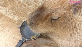 ++ゆぅ++ちゃんの2017/9/8 (金) 22:41のブログ