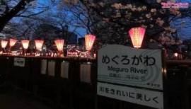 ++ゆぅ++ちゃんの2019/4/3 (水) 21:44のブログ