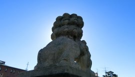 ++ゆぅ++ちゃんの2018/1/13 (土) 23:03のブログ