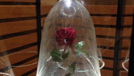 ++ゆぅ++ちゃんの2017/6/3 (土) 22:03のブログ