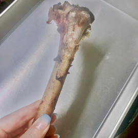 何の骨でしょうか