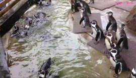 ++ゆぅ++ちゃんの2018/4/27 (金) 21:38のブログ