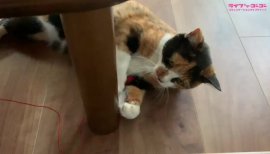 ++ゆぅ++ちゃんの2019/8/16 (金) 23:23のブログ