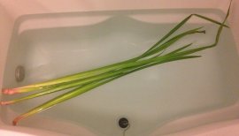 ++ゆぅ++ちゃんの2018/5/12 (土) 22:09のブログ