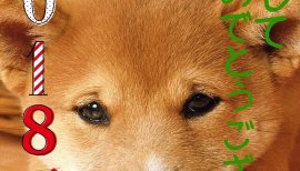 ひまわり..☆ちゃんの2018/1/5 (金) 21:14のブログ