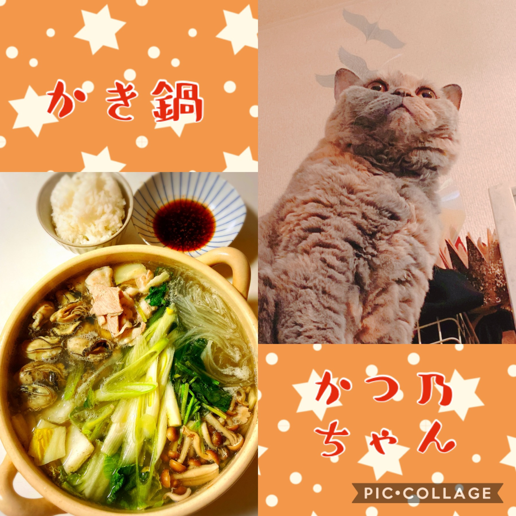 夜ごはん（＾ω＾）