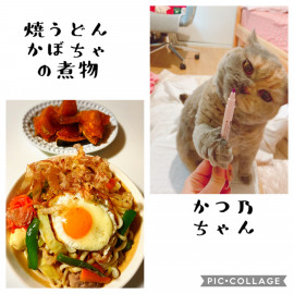 夜ごはん（＾ω＾）