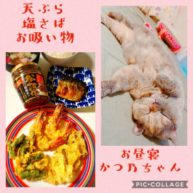 夜ごはん（＾ω＾）