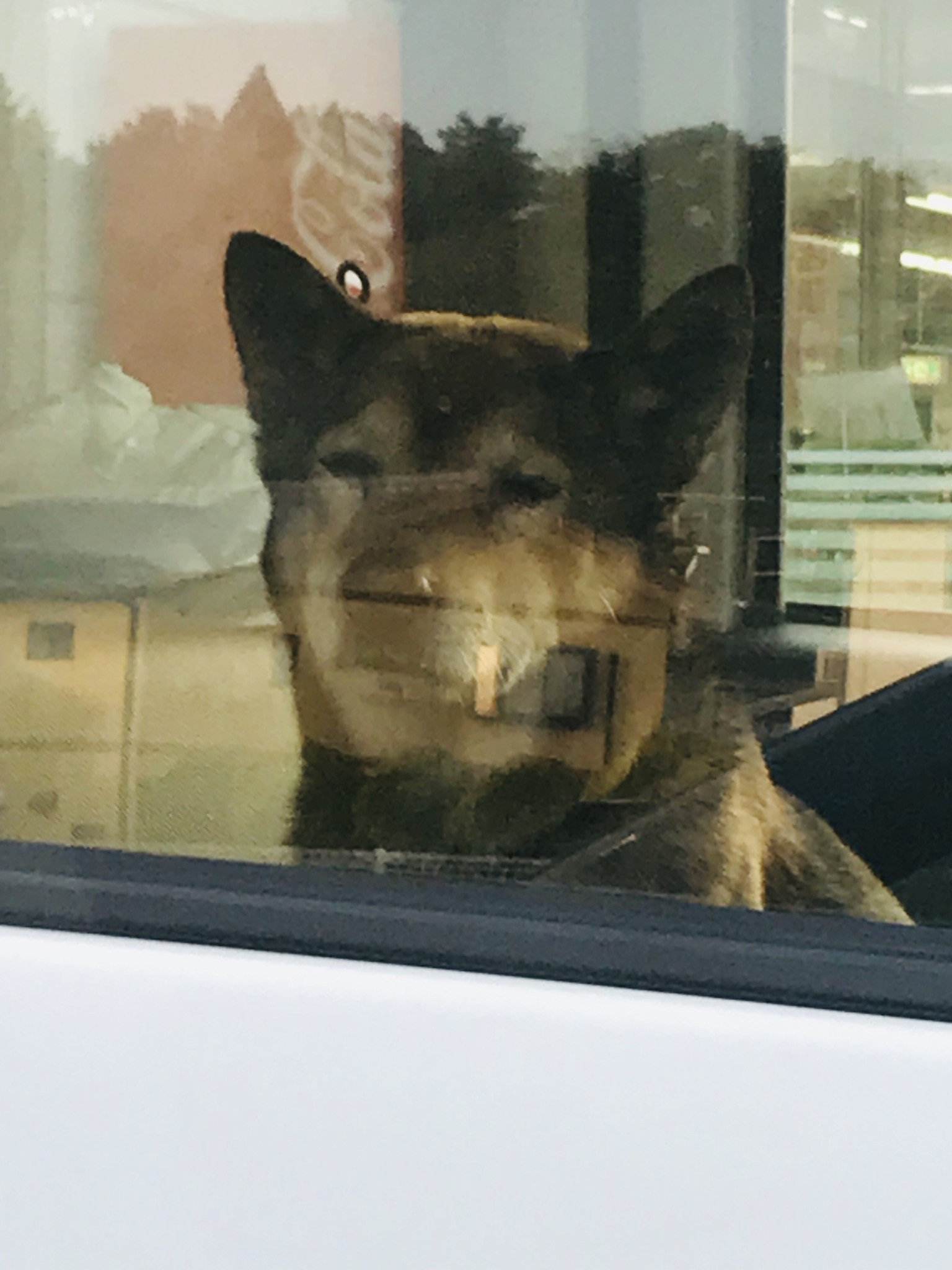 眠たいけど寝ないよ。。。