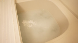 ナナシちゃんの2019/4/29 (月) 21:36のブログ