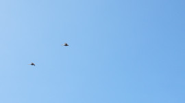 ナナシちゃんの2019/5/4 (土) 15:04のブログ