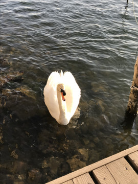 ナナシちゃんの2019/5/10 (金) 01:14のブログ