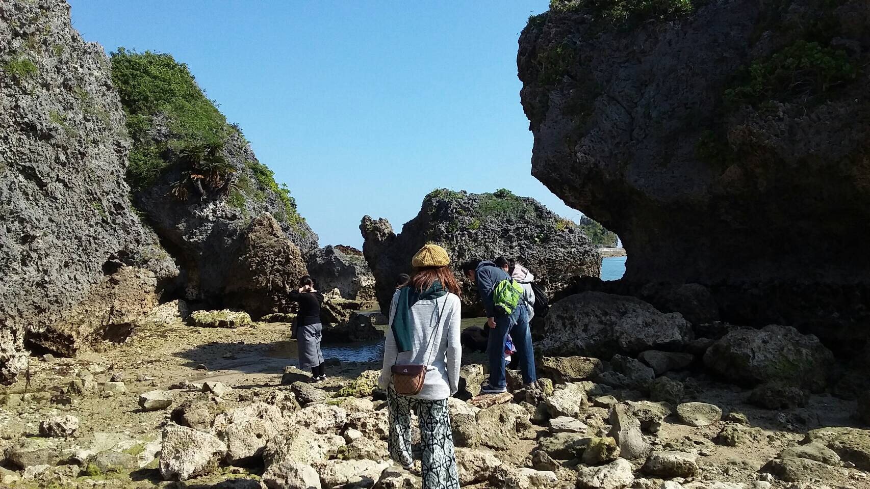 ゴツゴツいた岩が好き❤